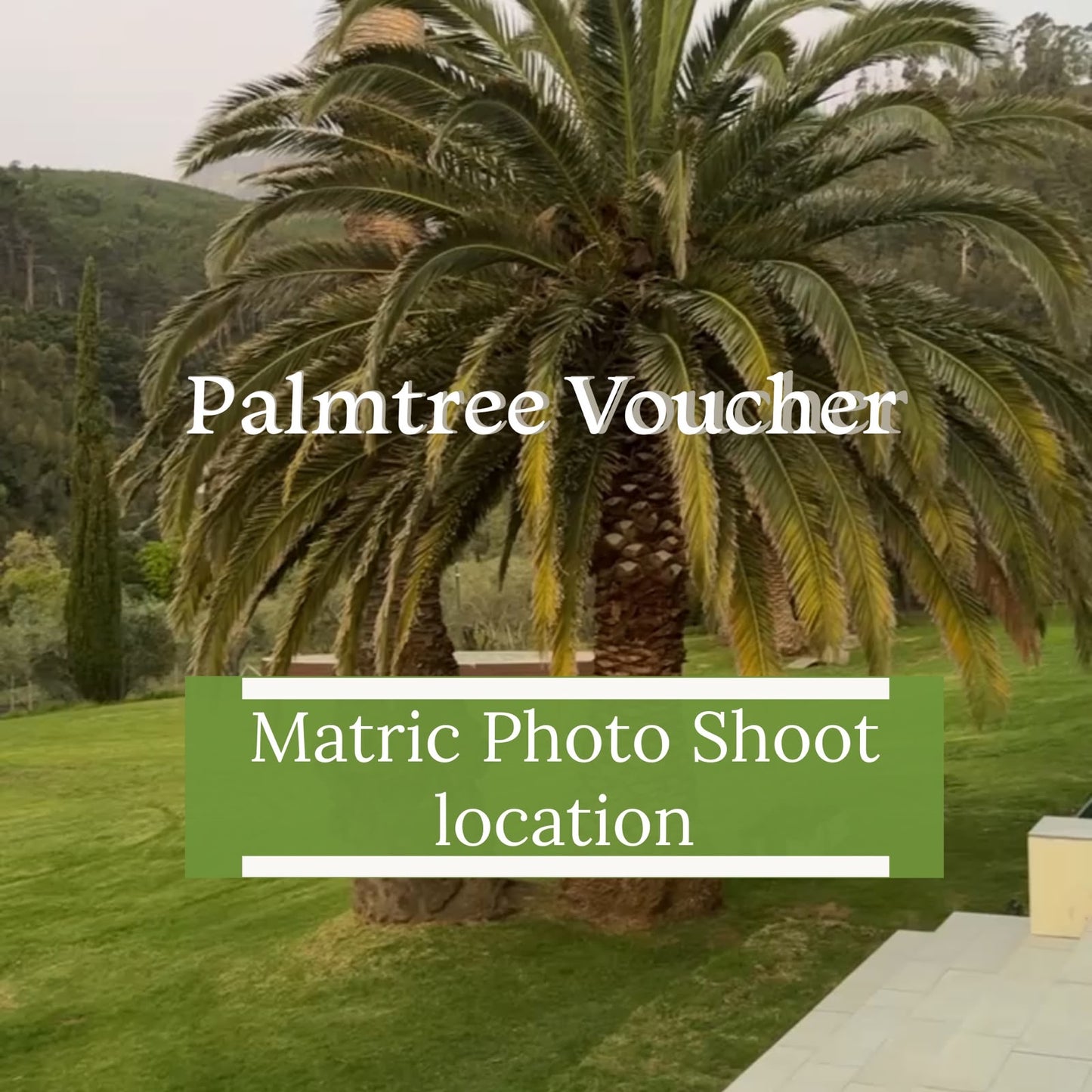 Palmtree Voucher