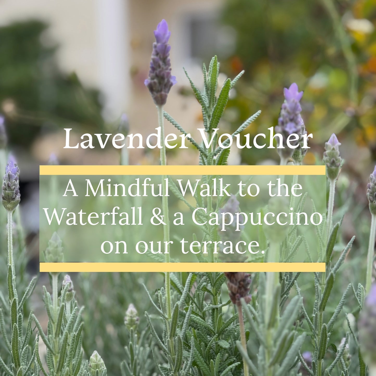 Lavender Voucher