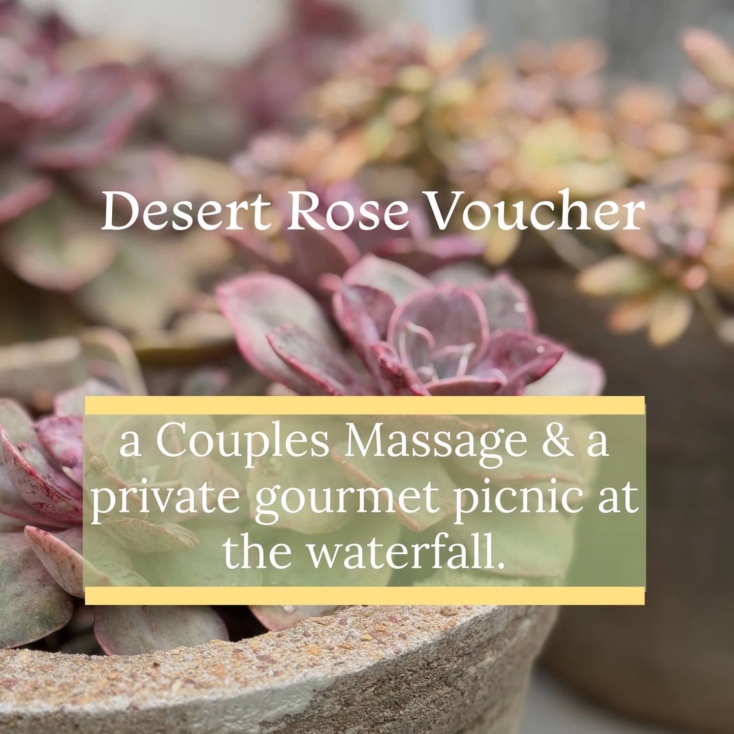 Desert Rose Voucher