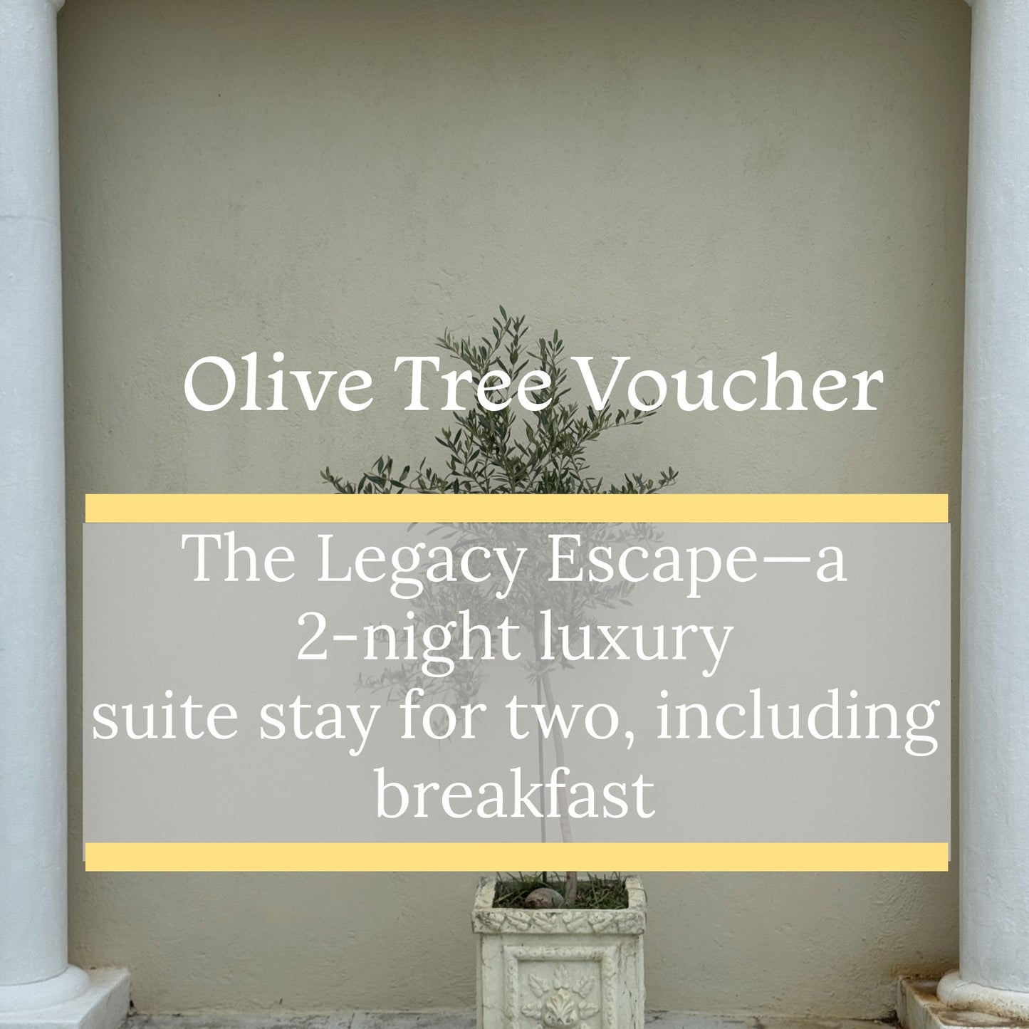 Olive Tree Voucher