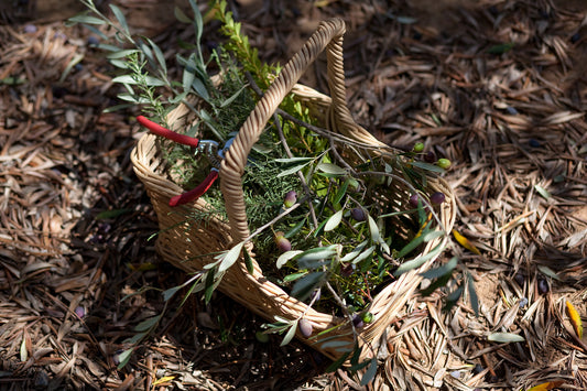 Eco-Craft & Team Synergy Workshop
