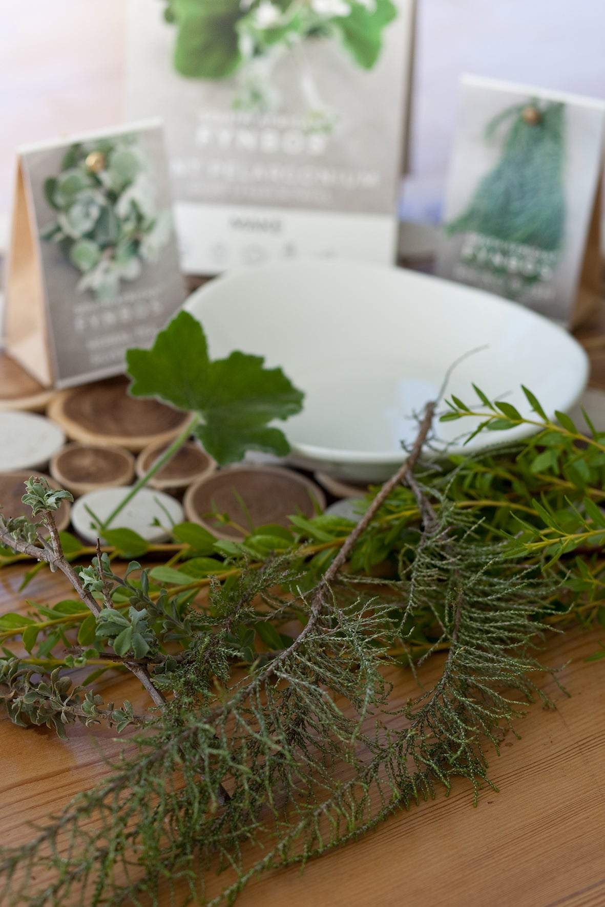 "Touching & Tasting" Fynbos Walk