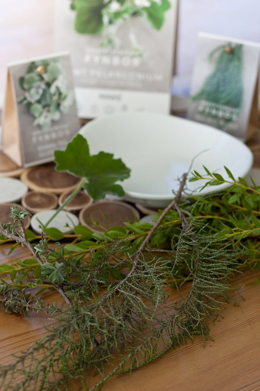 "Touching & Tasting" Fynbos Walk
