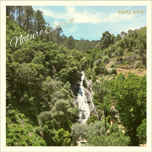 Early Bird Nature Escape