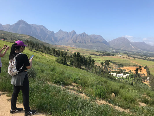 Walk and Workshop