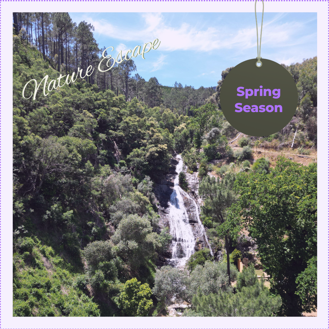 Spring Special Nature Escape