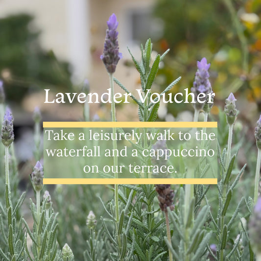 Lavender Voucher
