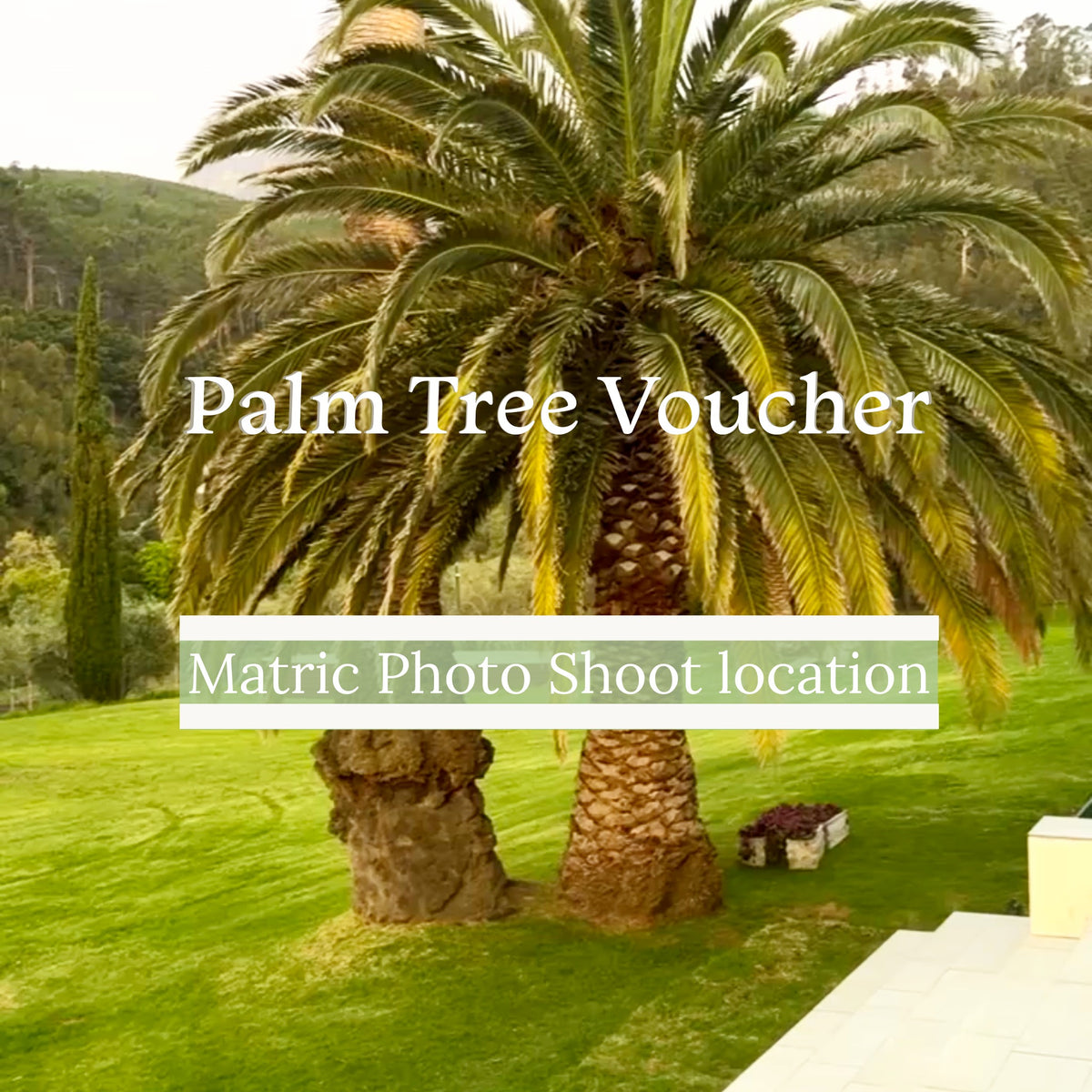 Palm Tree Voucher