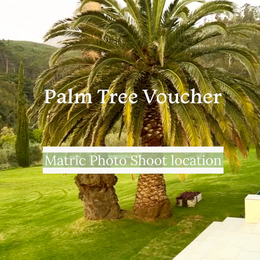Palm Tree Voucher