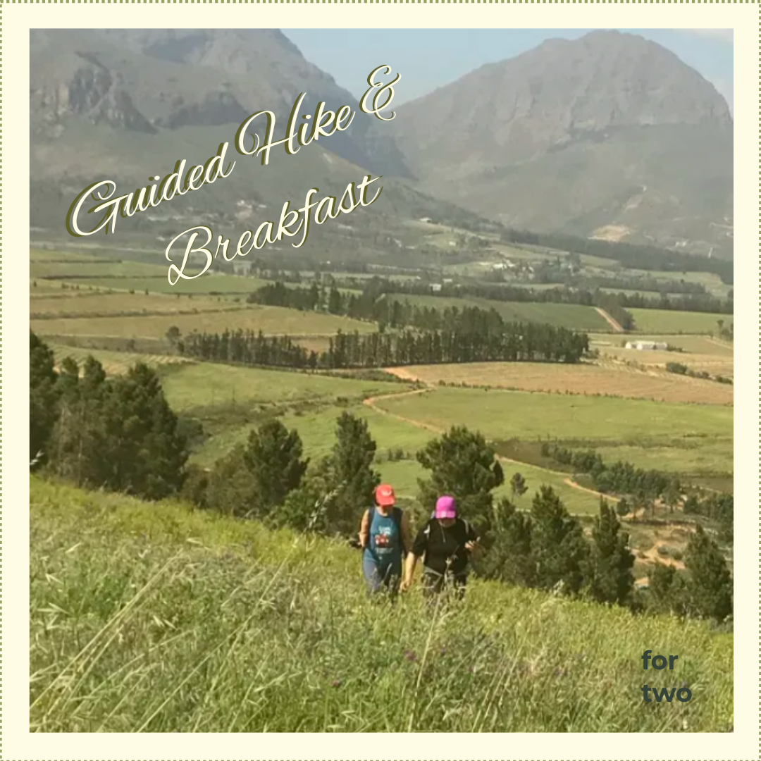 Guided Hike and Breakfast
